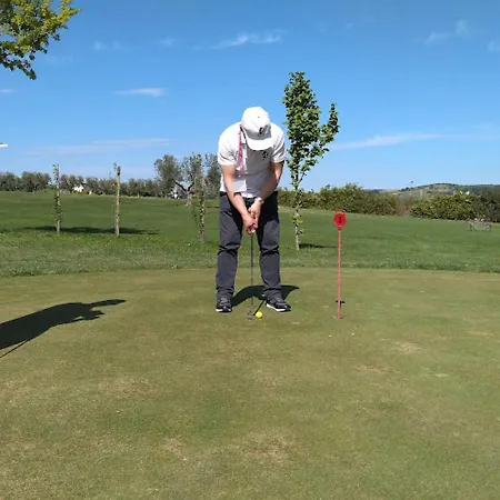 Ginkgo 住宿加早餐酒店 3*