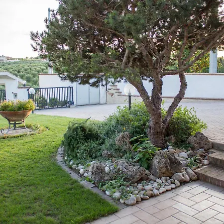 Ginkgo 住宿加早餐酒店 3*