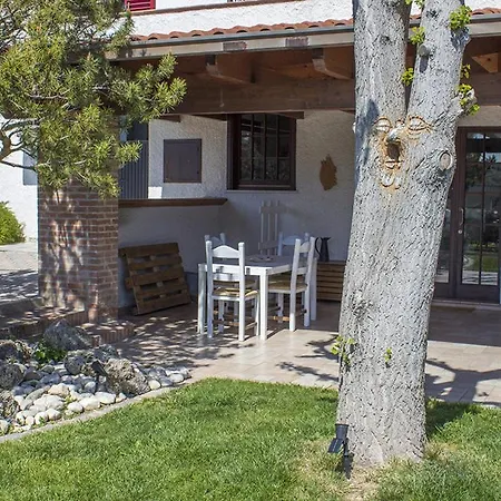 Ginkgo Francavilla Al Mare
