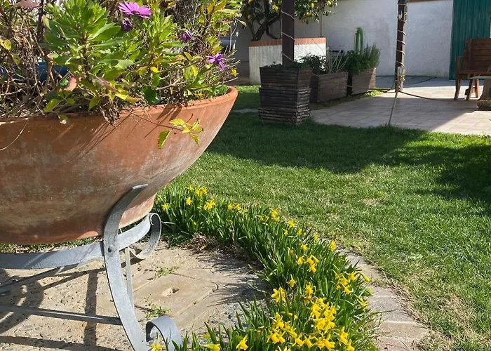 Ginkgo Francavilla Al Mare