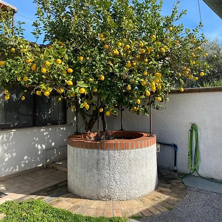 Ginkgo Oda ve Kahvaltı 3*