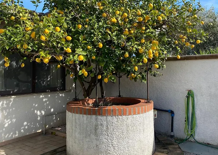 Ginkgo Alojamento de Acomodação e Pequeno-almoço 3*